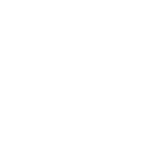 Executive Dashboard
