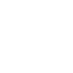Explainable AI