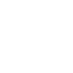Sales & Operational Planning (S&OP) 