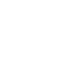 Decision Intelligence