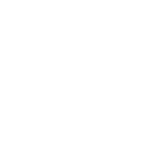 Institutional Memory